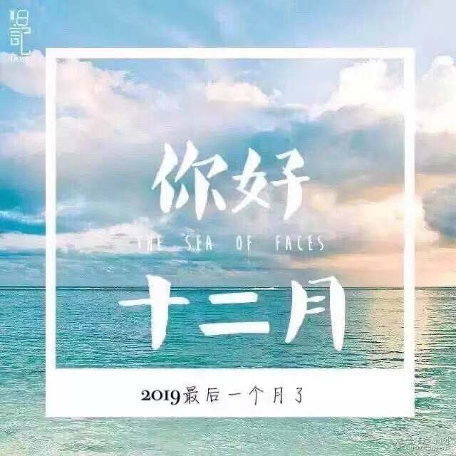 散杂货船运输特种柜进出口代理.jpg